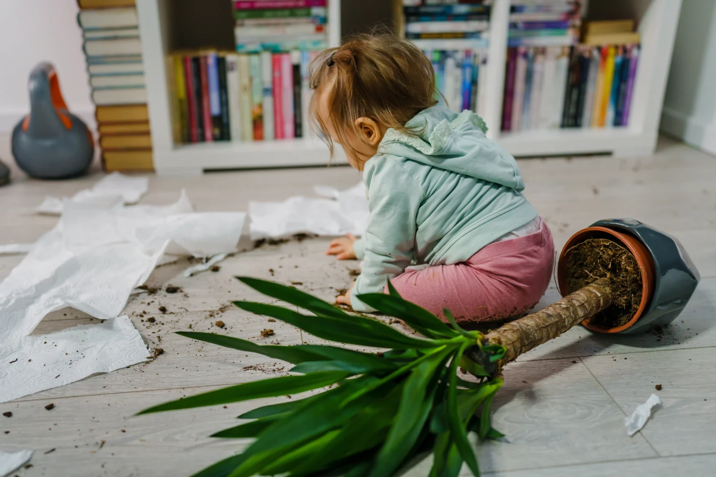 Child knocks over plants and makes mess on floor of Twin Cities East Metro home