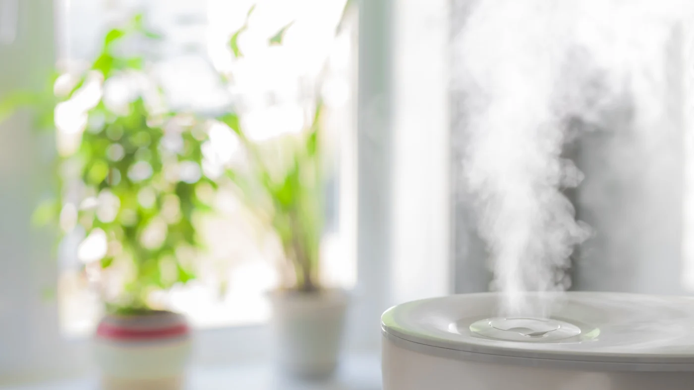 Humidifier blowing steam with house plants in background