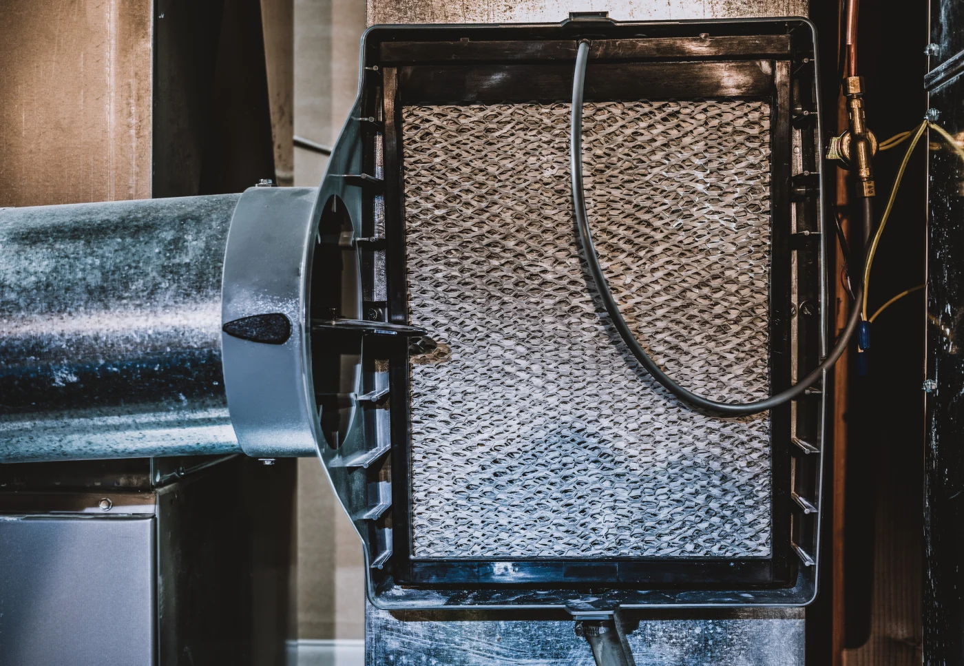 Whole-house humidifier in a house