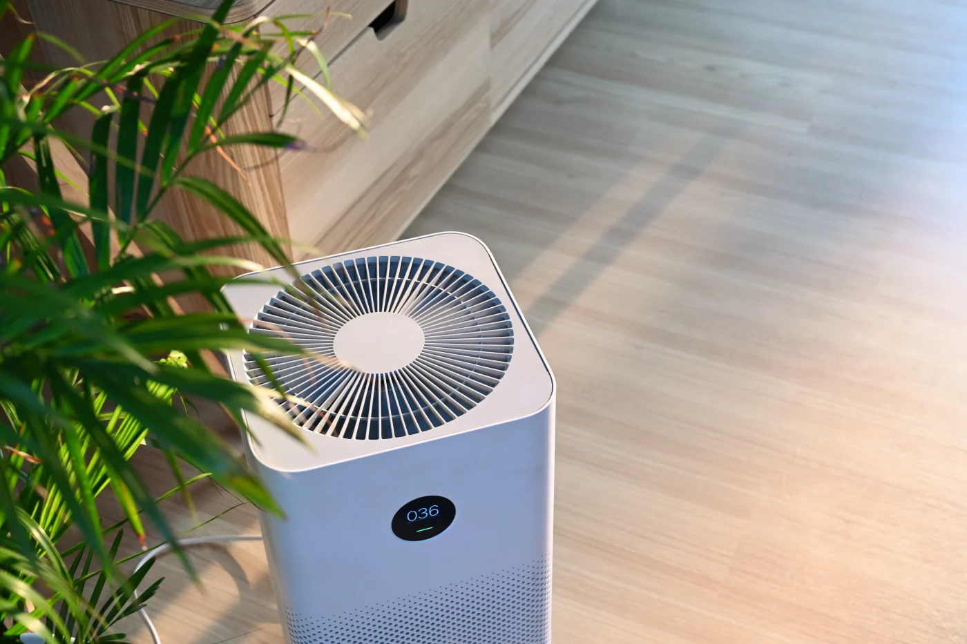 Air purifier in a house